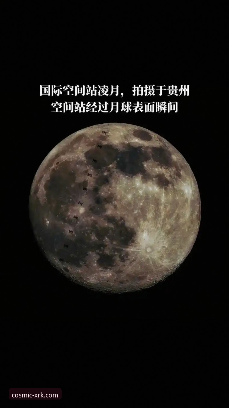 星空直播手机版哪个版本最好用？老用户分享三年使用心得